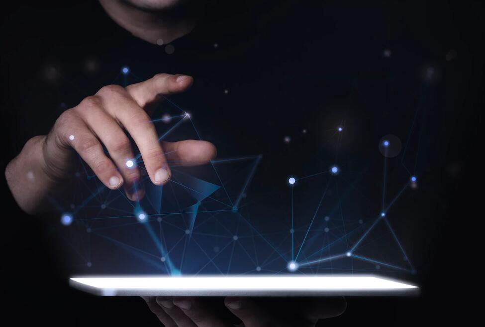 史泰龙种马是哪一年的 史泰龙意大利种马